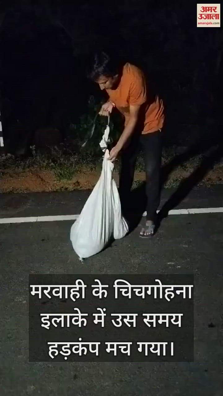 VIDEO : इलाके में अजगर की खबर सुन मचा हड़कंप, एक घर में घुस निगल गया बिल्ली; फिर किया रेस्क्यू