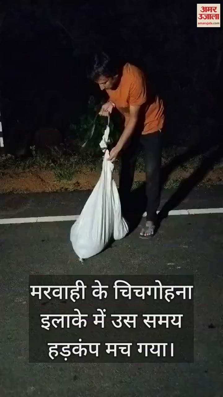 VIDEO : इलाके में अजगर की खबर सुन मचा हड़कंप, एक घर में घुस निगल गया बिल्ली; फिर किया रेस्क्यू