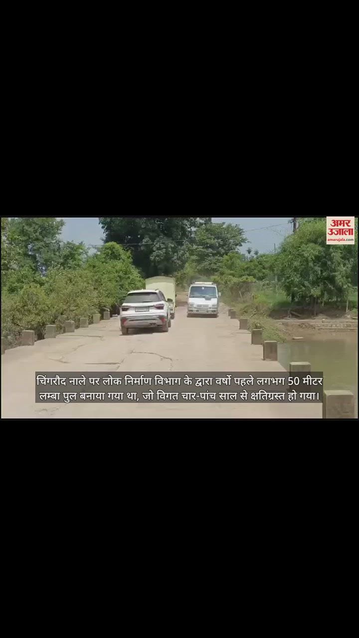 VIDEO : हादसे को दावत दे रहा है चिंगरौद नाले पर बना जर्जर पुल, आप भी देखें वीडियो में स्थिति