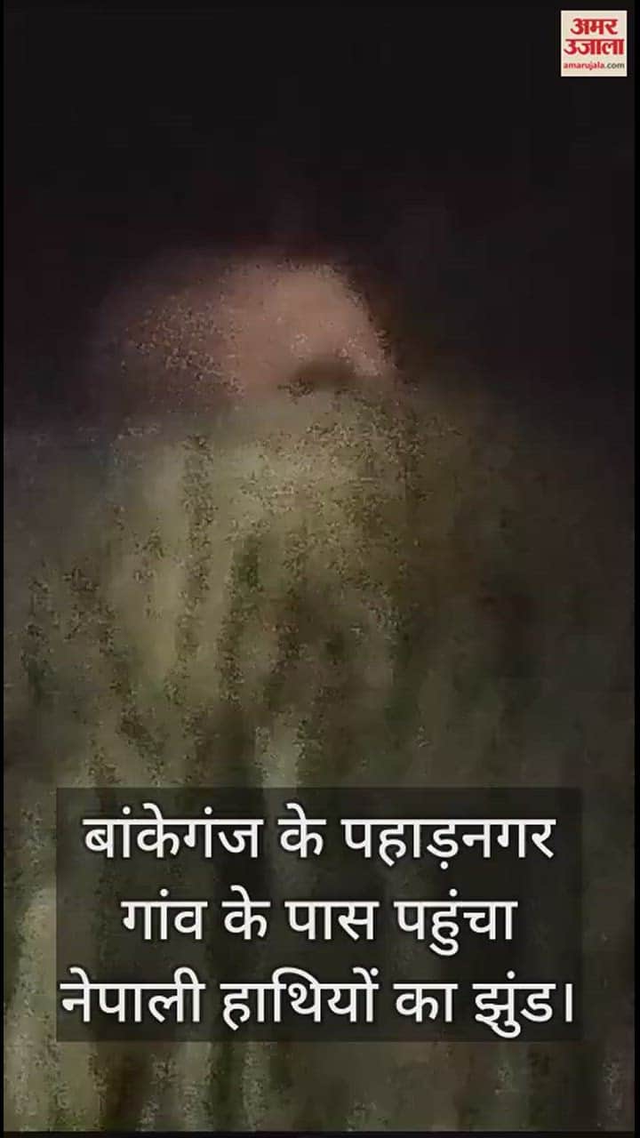 VIDEO : लखीमपुर खीरी में आधी रात गांव के पास पहुंचे नेपाली हाथी, शोर मचाकर ग्रामीणों ने खदेड़ा