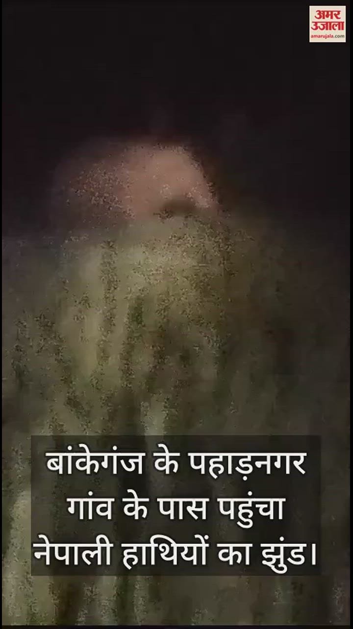 VIDEO : लखीमपुर खीरी में आधी रात गांव के पास पहुंचे नेपाली हाथी, शोर मचाकर ग्रामीणों ने खदेड़ा