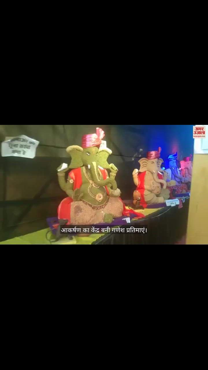 VIDEO : छत्तीसगढ़ में आकर्षण का केंद्र बनी गणेश प्रतिमाएं; मन मोह रहा अनाज से बनीं मूर्तियां और चंद्रयान-3