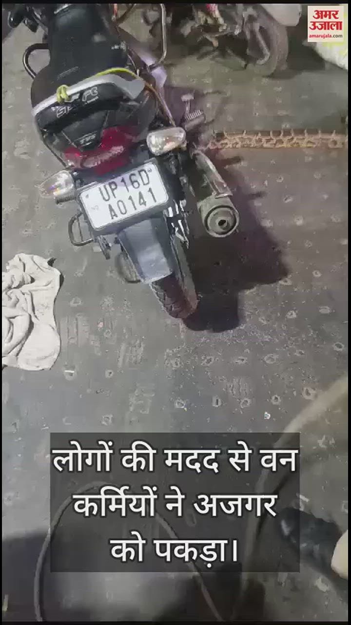 VIDEO : ट्रक में अजगर निकलने से मचा हड़कंप, चालक और क्लीनर ने ऐसे बचाई जान