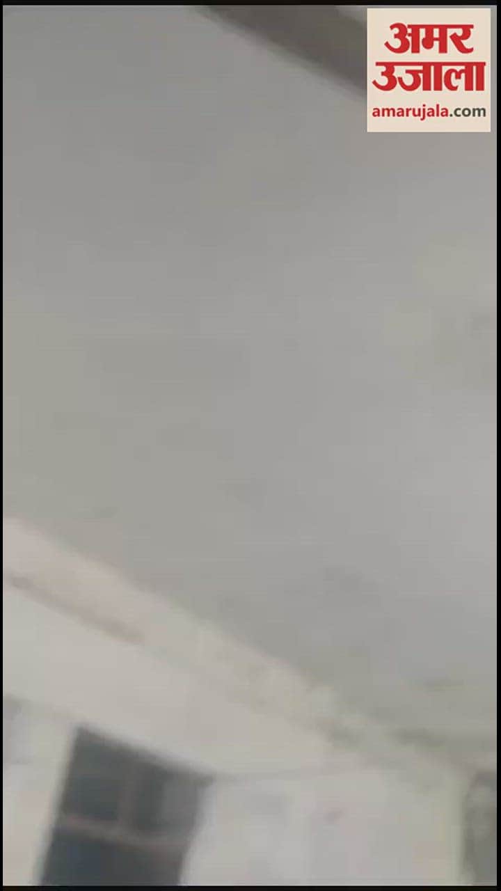 VIDEO : लेखपाल का रिश्वत लेते वीडियो वायरल, चकबंदी कार्यालय में है तैनाती