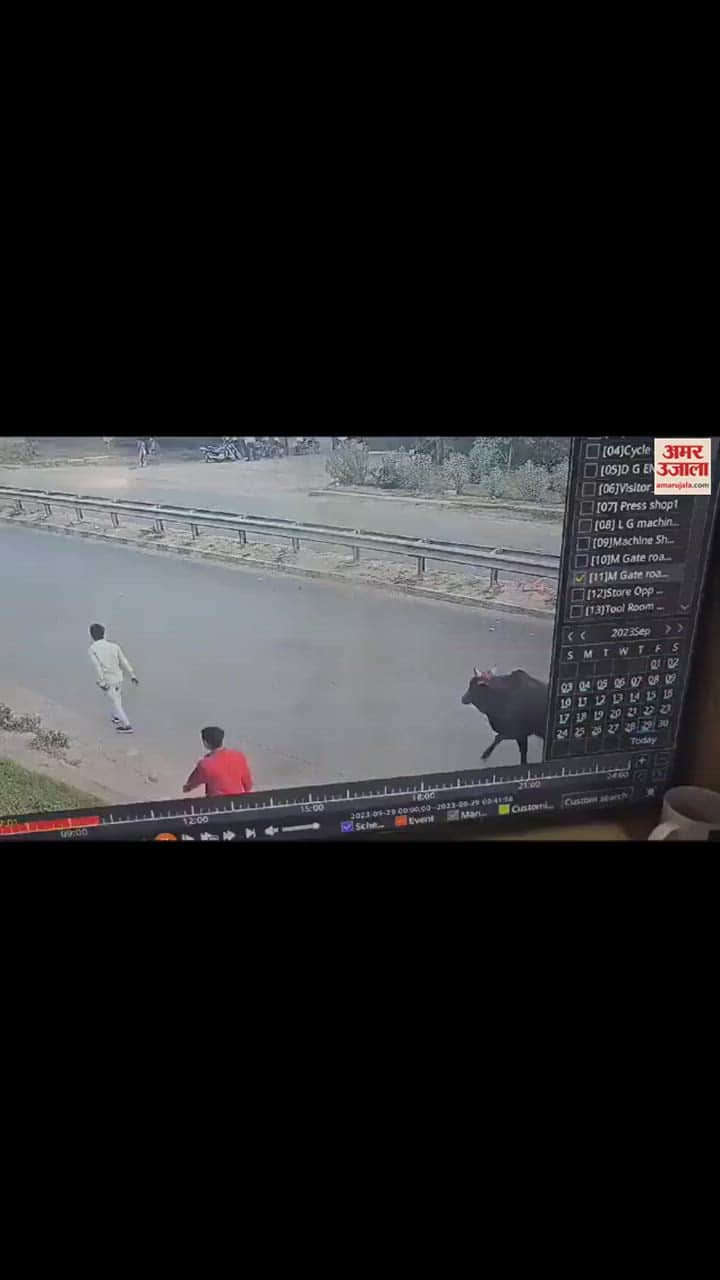 VIDEO : ग्रेटर नोएडा में बादलपुर के पास दर्दनाक हादसा, बुलेट सवार युवक की आवारा पशु से टक्कर, कैटर की चपेट में आने से मौत