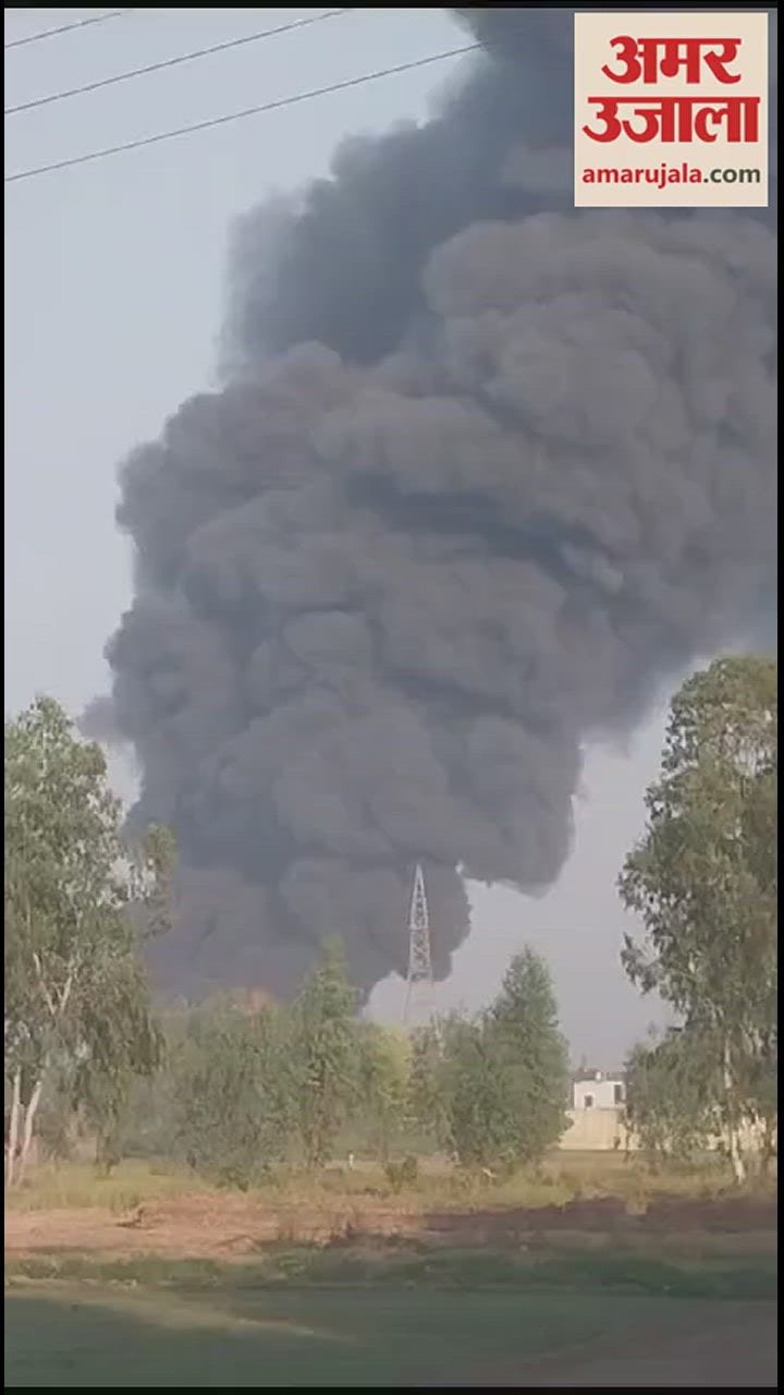 VIDEO : मुरादाबाद के थर्माकोल फैक्टरी में लगी आग