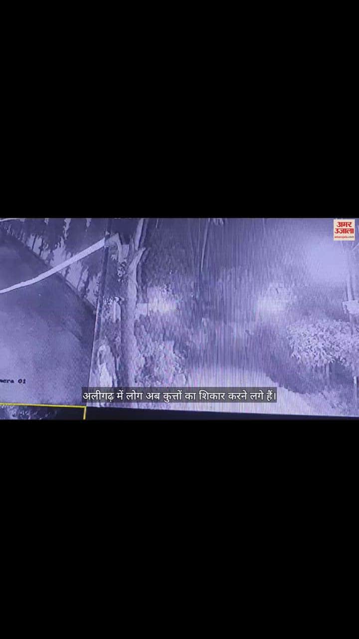 VIDEO : अलीगढ़ में दबंग कर रहे कुत्तों का शिकार, दम तोड़ रहे बेजुबान