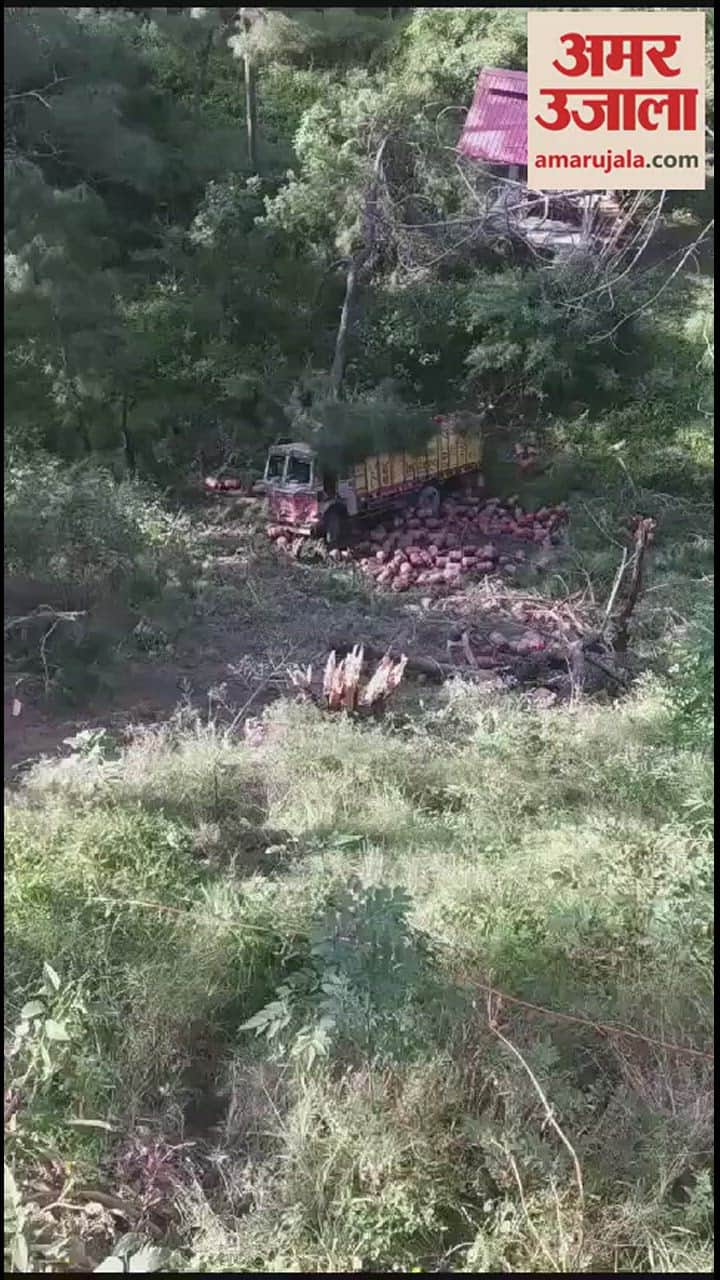 VIDEO : पशुओं को बचाने के चक्कर में 100 फीट गहरी खाई में गिरा सिलिंडर से भरा ट्रक