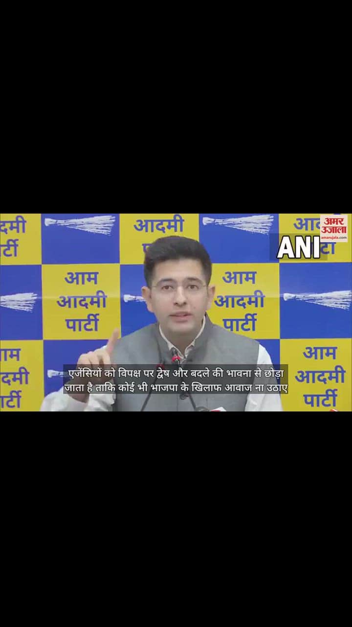 VIDEO : केंद्र पर बरसे राघव चड्ढा, बोले- जब से इंडिया गठबंधन बना, तब से बढ़ गई है विपक्ष पर ED-CBI की रेड