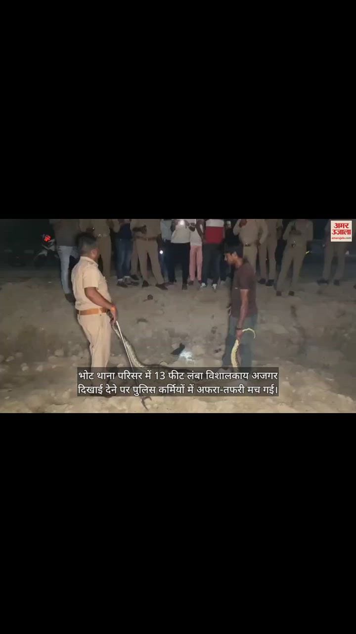 VIDEO : रामपुर के भोट थाने में घुस गया अजगर, पुलिसकर्मियों में मच गई भगदड़