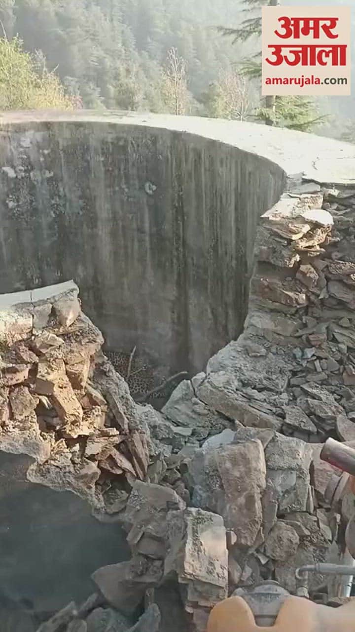 VIDEO : खाली टैंक में तीन घंटे फंसे रहे दो तेंदुए, जेसीबी से दीवार तोड़कर सुरक्षित निकाले