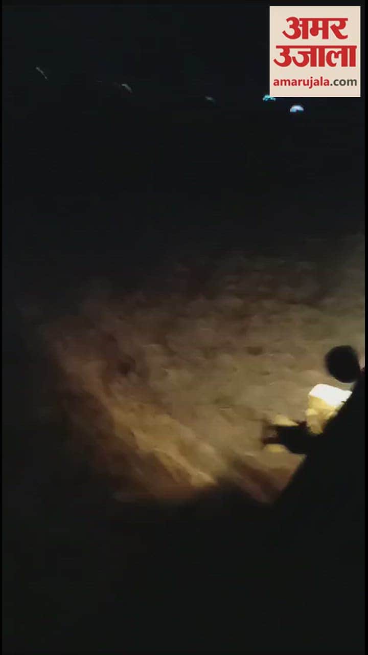 VIDEO : पीलीभीत में आधी रात अचानक ट्रैक्टर के सामने आ गया टाइगर, सहम गया किसान