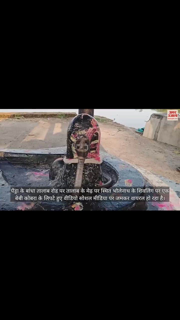 VIDEO : शिवलिंग से लिपटा दिखा कोबरा, कैमरे में कैद हुआ अद्भुत नजारा
