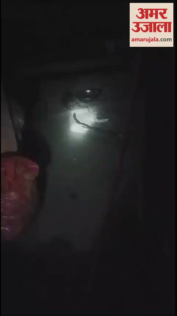 VIDEO : प्रेमालाप करते नाग-नागिन को ग्रामीण ने लाठी से पीटकर मार डाला, मुकदमा दर्ज