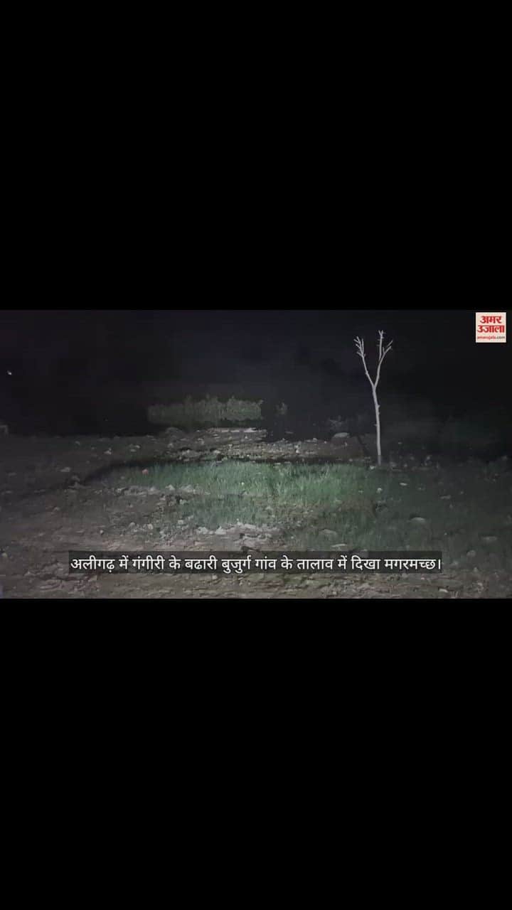 VIDEO : अलीगढ़ में गंगीरी के बढारी बुजुर्ग गांव के तालाव में दिखा मगरमच्छ