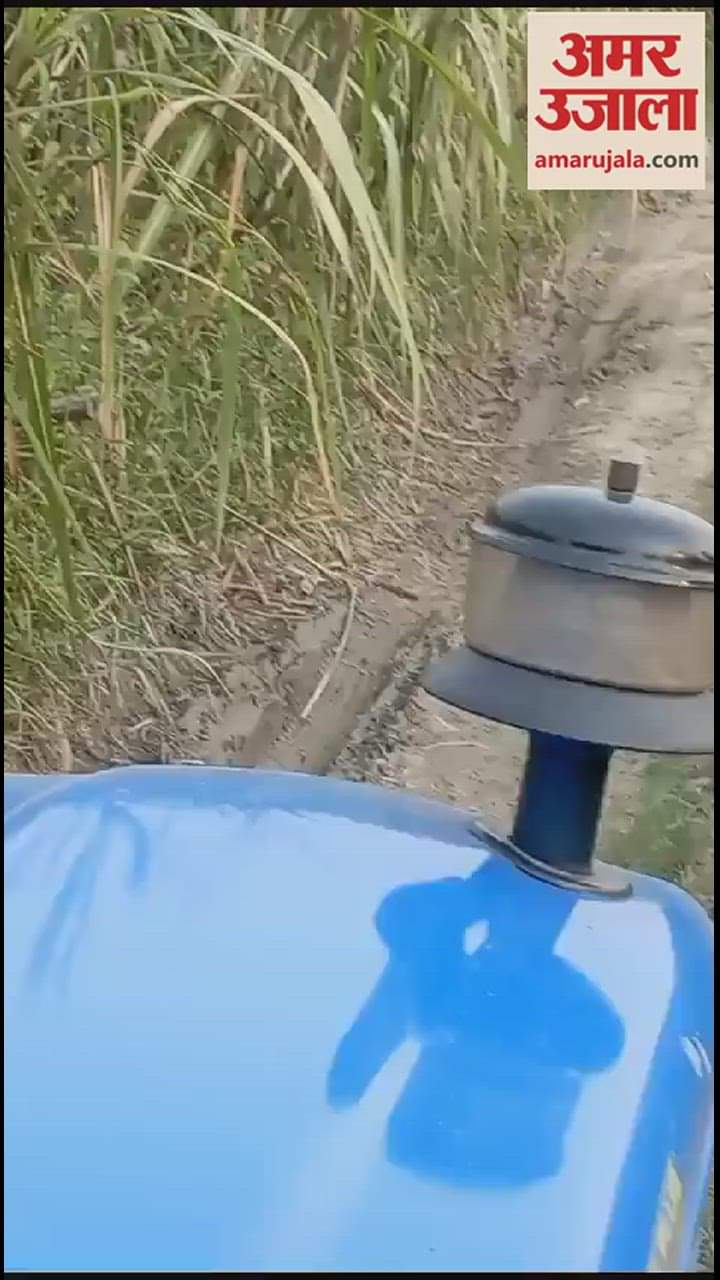 VIDEO : गुन्नौर में ट्रैक्टर चालक के सामने आया तेंदुआ, हॉर्न बनाने पर भी नहीं छोड़ी सड़क, वीडियो वायरल