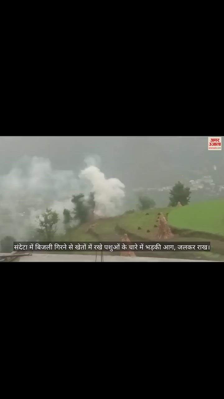 VIDEO : बिजली गिरने से खेतों में रखे पशुओं के चारे में भड़की आग, जलकर राख