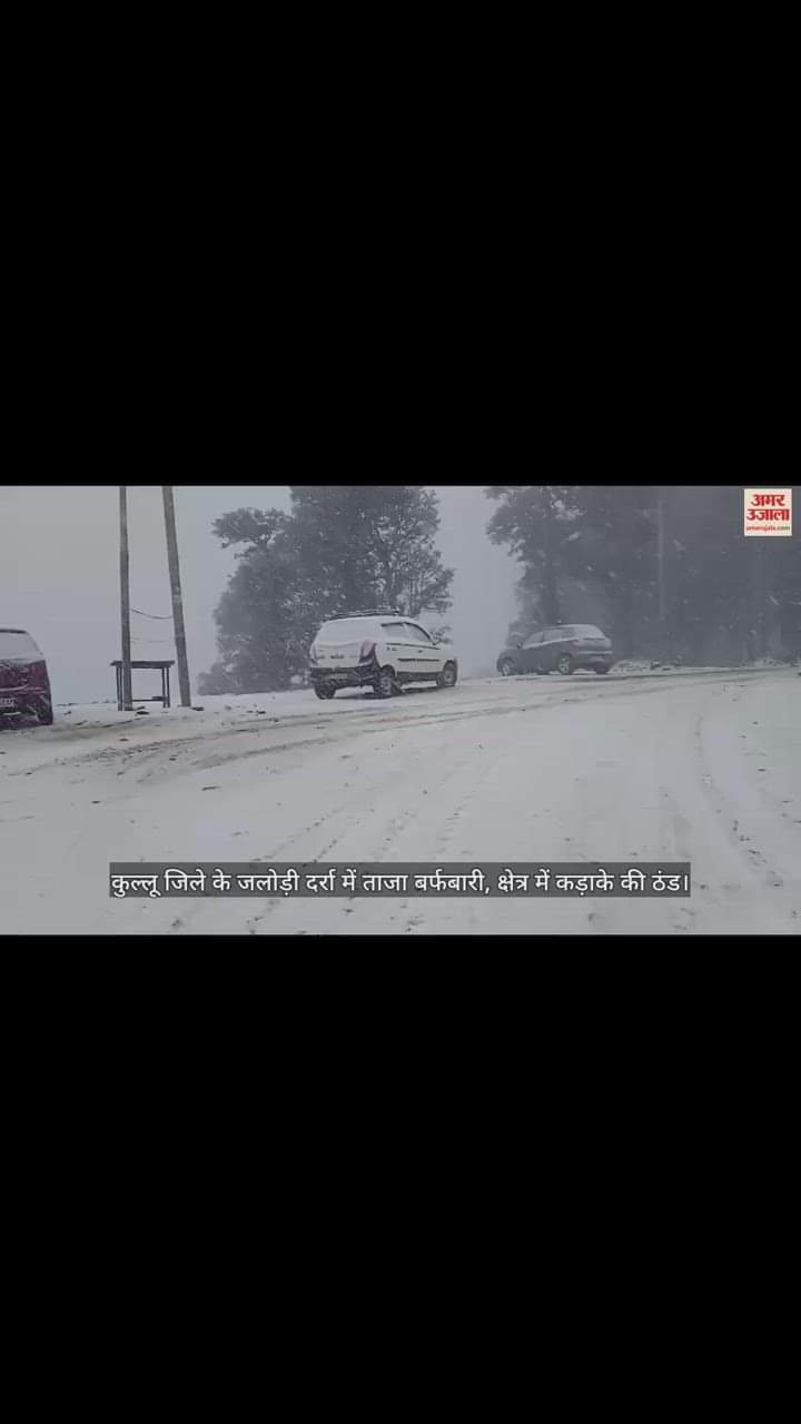 VIDEO : जलोड़ी दर्रा में ताजा बर्फबारी, क्षेत्र में कड़ाके की ठंड