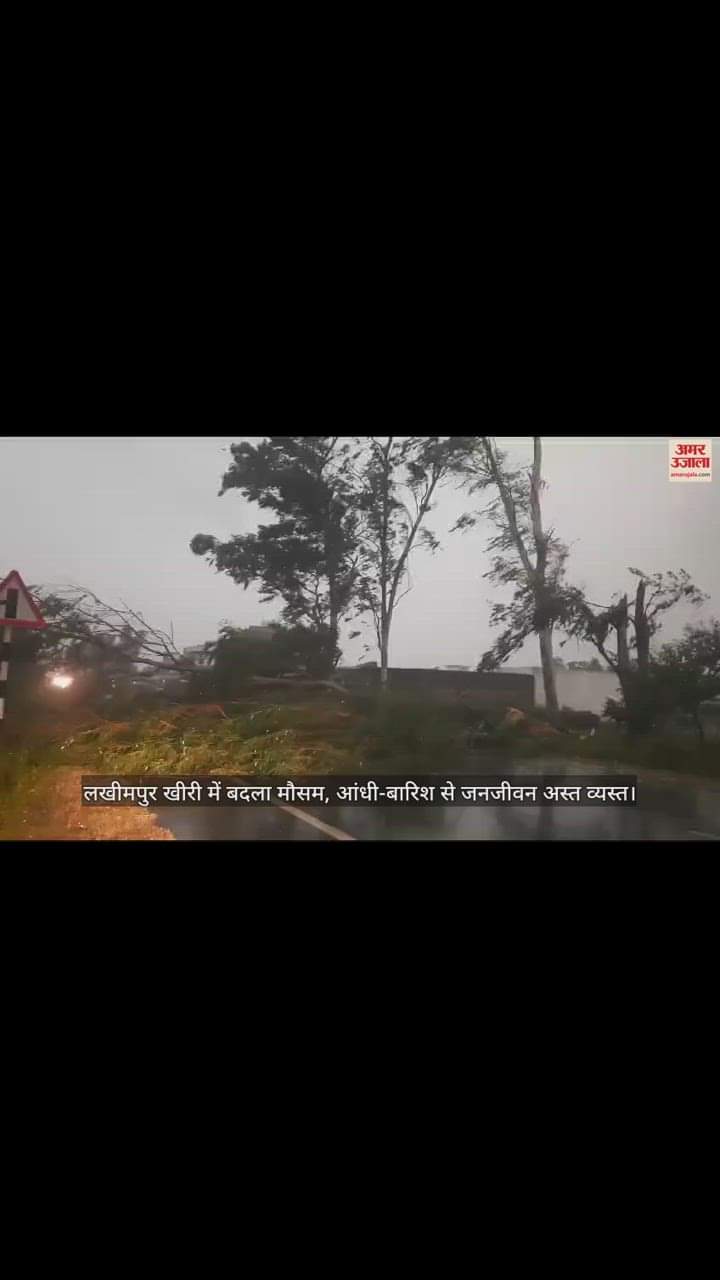 VIDEO : दिन में छाया अंधेरा, आंधी में उड़े छप्पर-टीनशेड, सड़कों पर पेड़ गिरने से आवागमन ठप