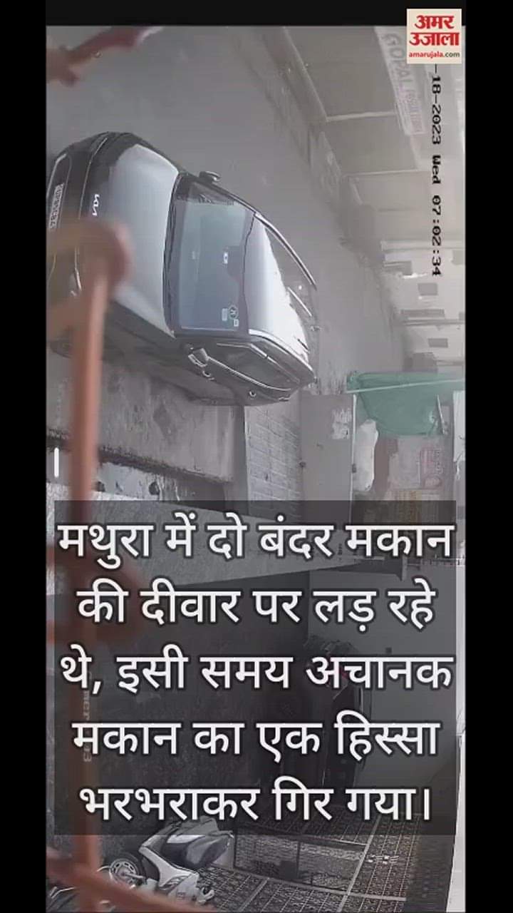 VIDEO : मथुरा में जर्जर मकान की दीवार पर लड़ रहे थे बंदर, अचानक भरभराकर गिरा; बच्ची सहित चार लोग घायल