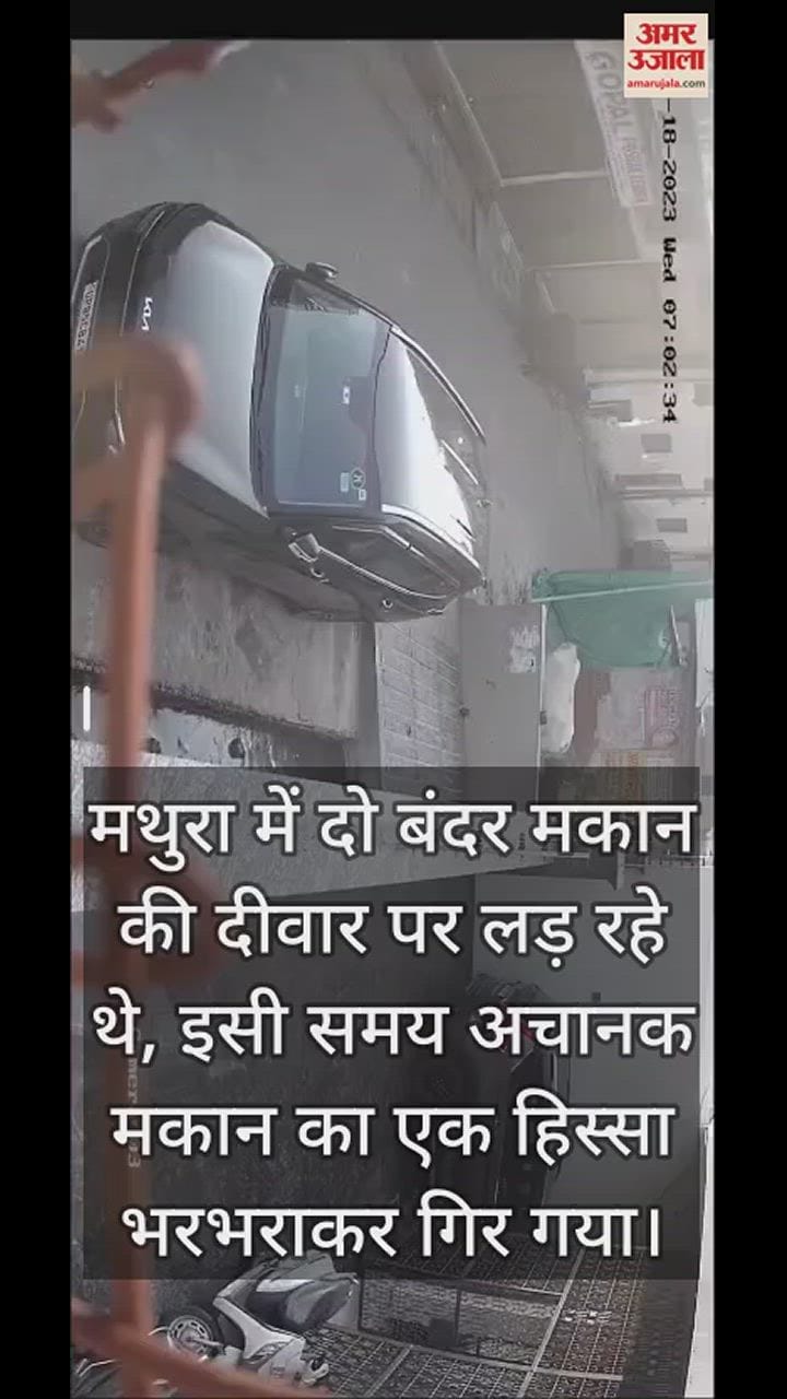 VIDEO : मथुरा में जर्जर मकान की दीवार पर लड़ रहे थे बंदर, अचानक भरभराकर गिरा; बच्ची सहित चार लोग घायल