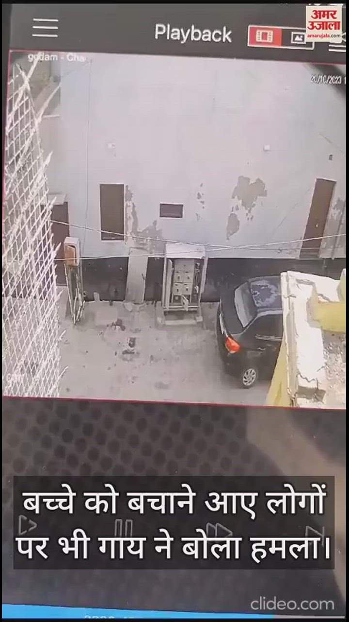 VIDEO : वृंदावन का 35 सेकेंड का ये वीडियो आपका दिल दहला देगा, पांच साल के मासूम की जान के पीछे पड़ी गाय