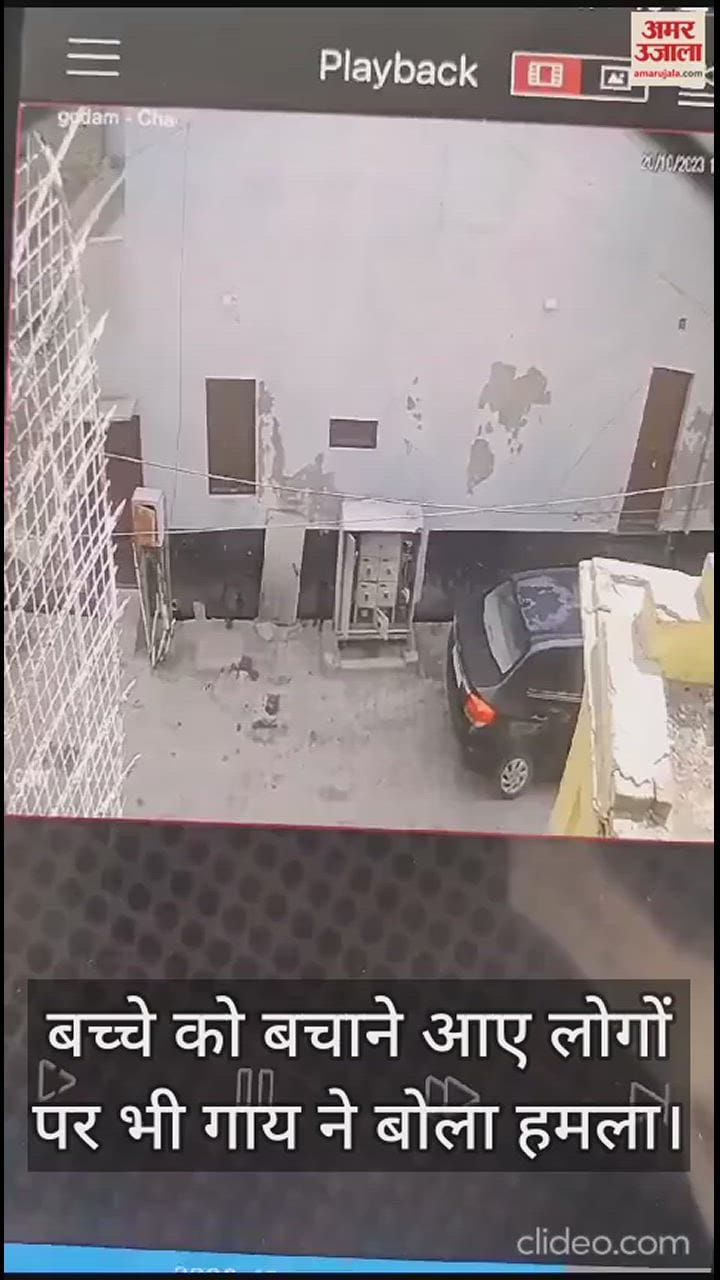 VIDEO : वृंदावन का 35 सेकेंड का ये वीडियो आपका दिल दहला देगा, पांच साल के मासूम की जान के पीछे पड़ी गाय