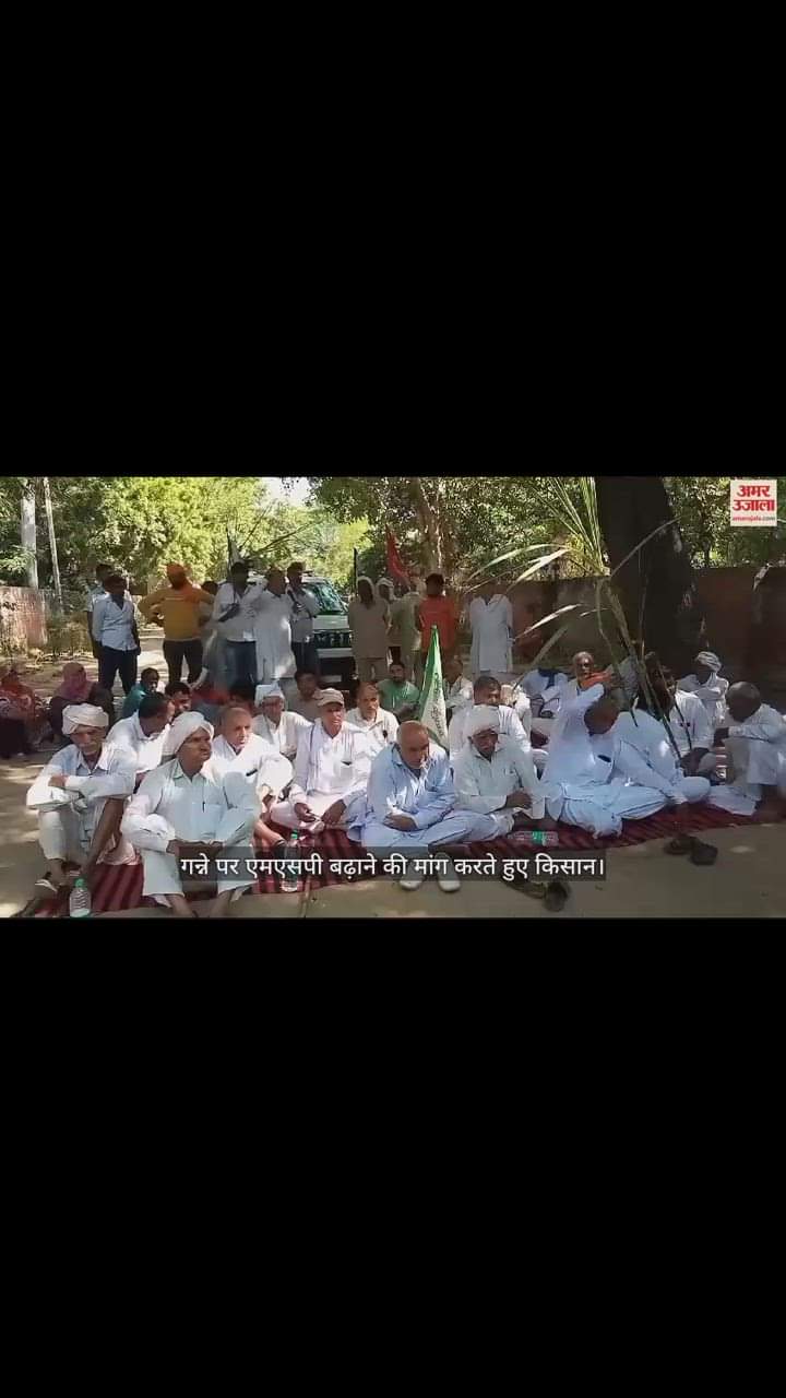 VIDEO : हरियाणा में गन्ना उत्पादक किसानों ने दिया धरना, एमएसपी बढ़ाने व डीएपी खाद उपलब्ध कराने की मांग