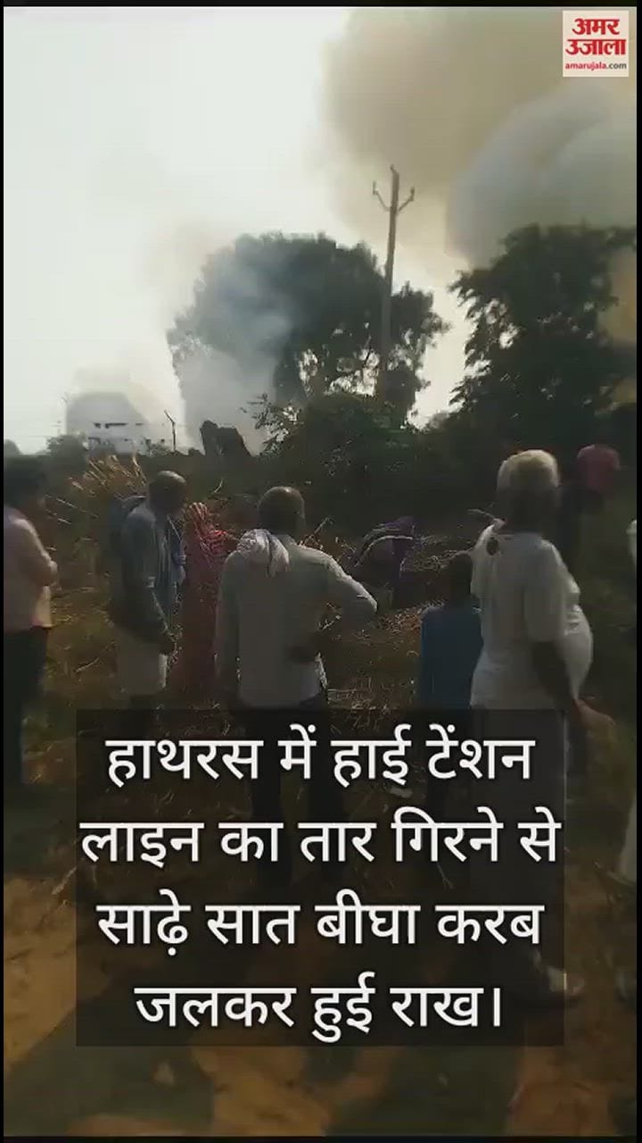 VIDEO : हाथरस में हाई टेंशन लाइन का तार गिरने से साढ़े सात बीघा करब जलकर हुई राख
