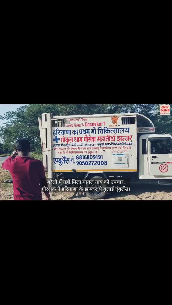 VIDEO : यूपी में बेजुबान को उपचार नहीं दे सकी पंगु व्यवस्था, बरेली से घायल गाय को ले गई हरियाणा की एंबुलेंस