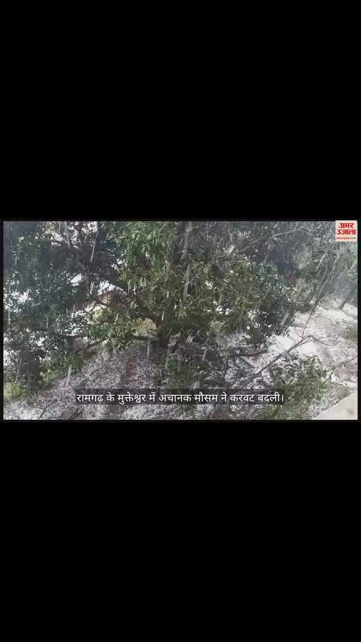 VIDEO : मुक्तेश्वर में ओलावृष्टि के साथ हल्की बर्फबारी, देखें वीडियो