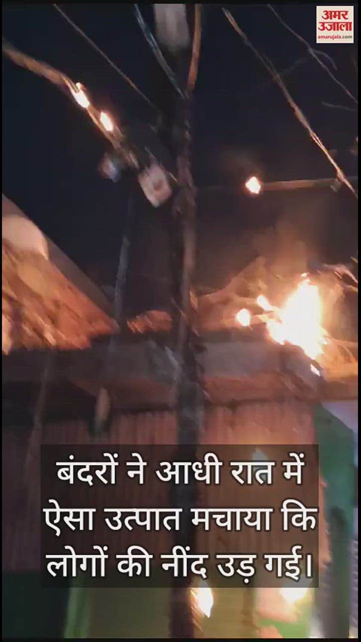 VIDEO : बंदरों ने आधी रात को की ऐसी हरकत, उड़ गई लोगों की नींद