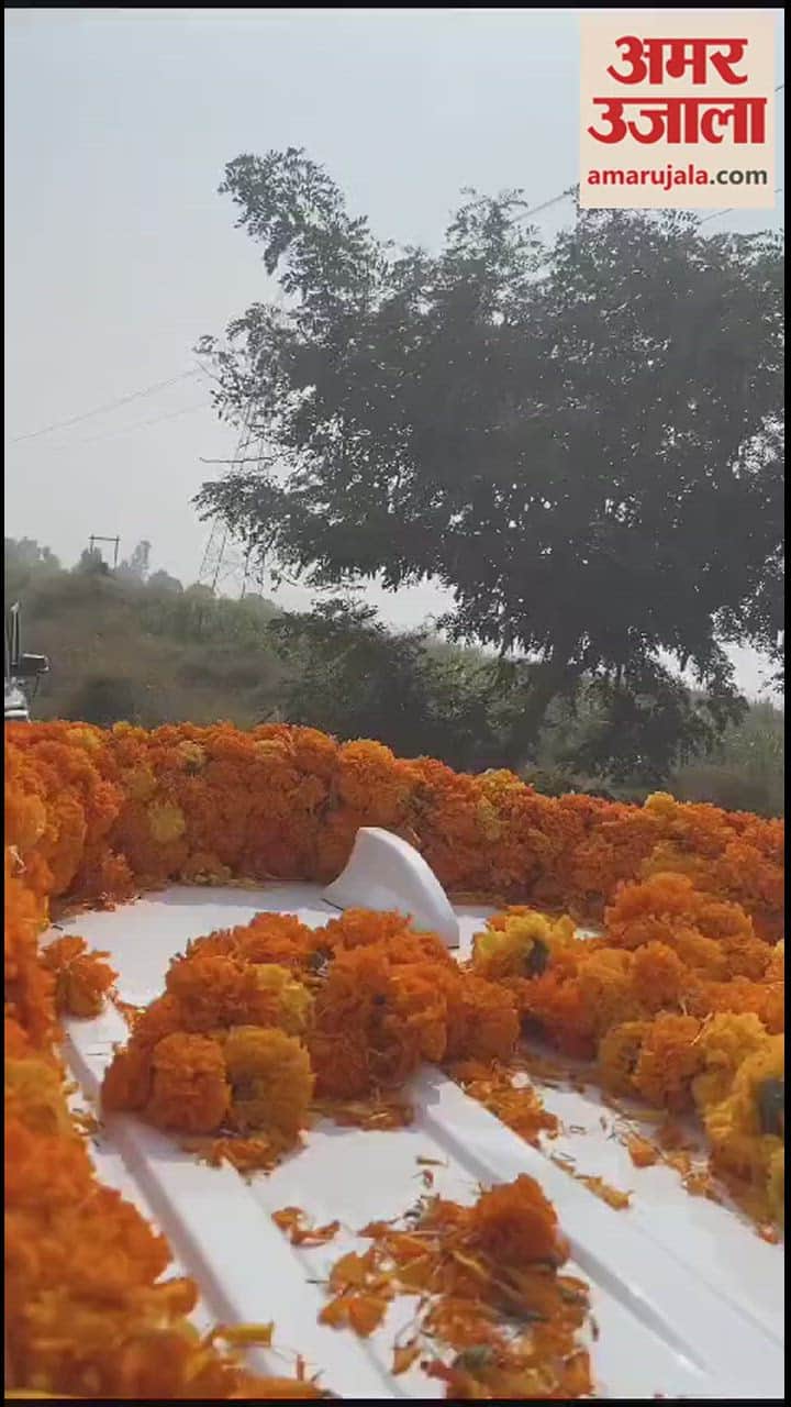 VIDEO : अमरोहा में भाजपा ब्लाक प्रमुख ने चलती कार से बाहर निकल बनवाई रील, वीडियो वायरल..पुलिस बोली-जानकारी नहीं