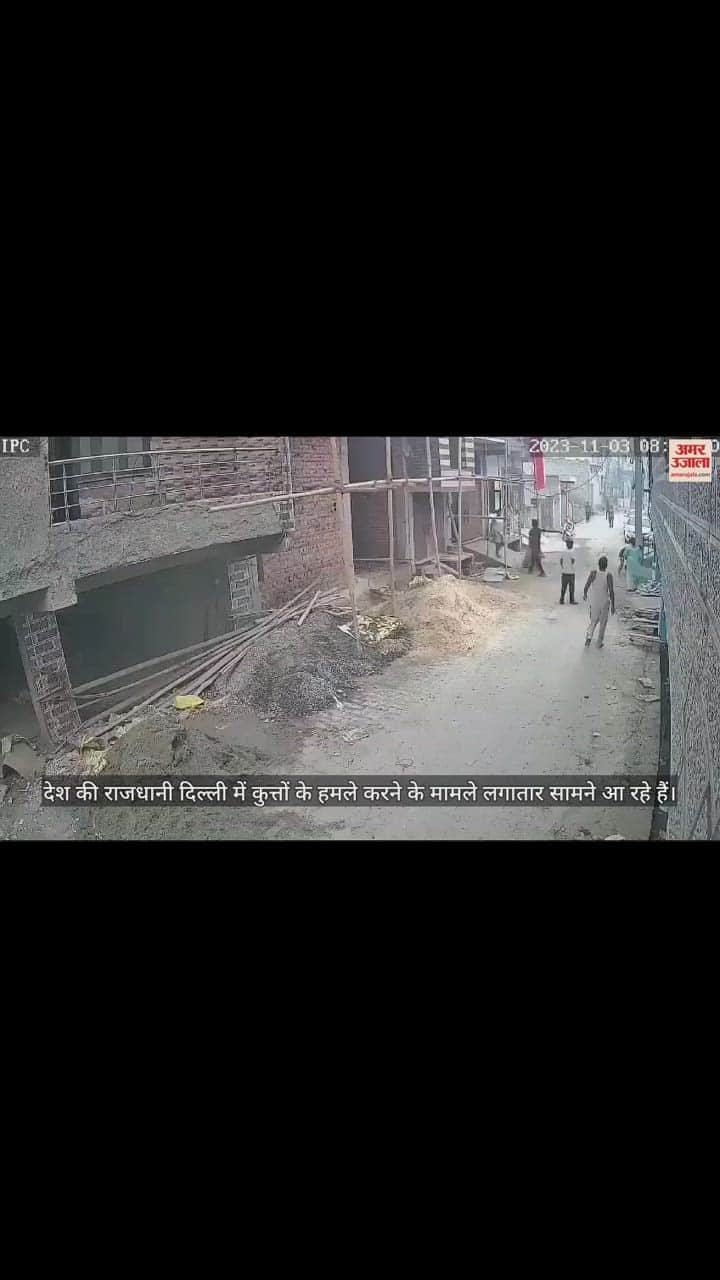 VIDEO : दिल्ली में महिला को नोचता रहा पिटबुल, देखता रहा मालिक, सामने आया वीडियो