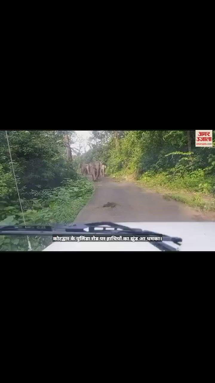 VIDEO : सड़क पर आ धमका हाथियों का झुंड, एक घंटे लगाया जाम