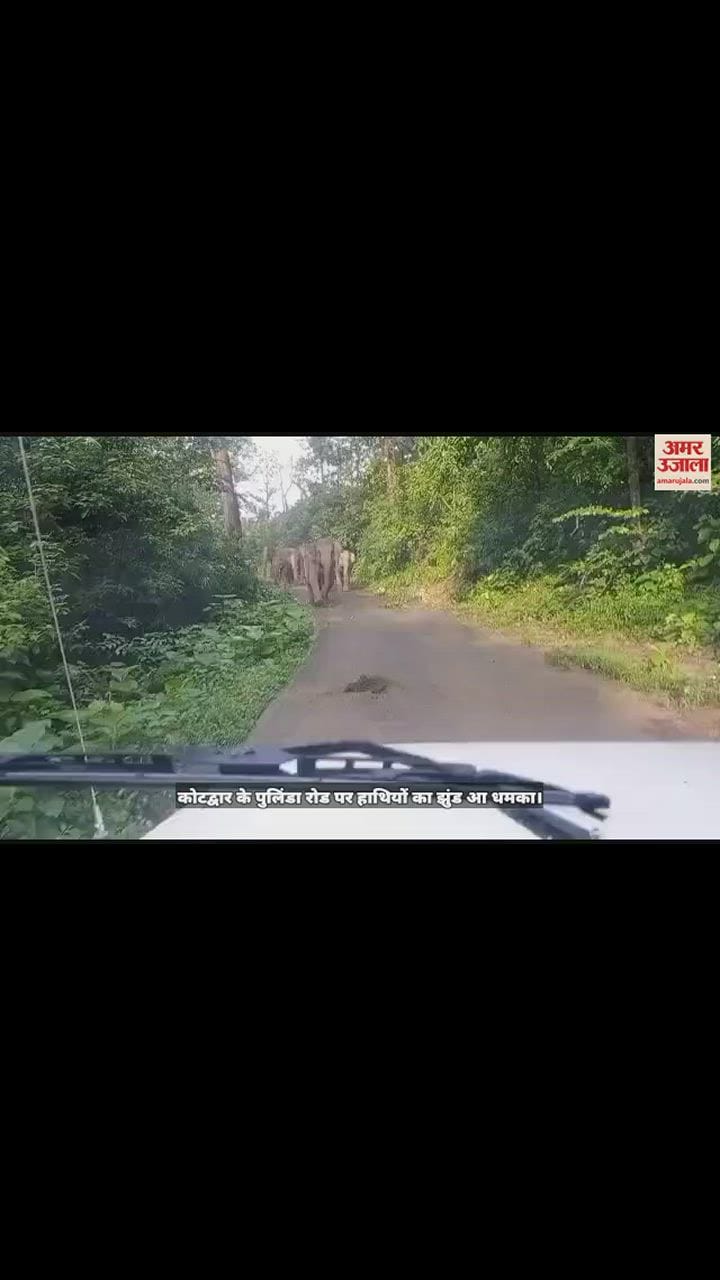 VIDEO : सड़क पर आ धमका हाथियों का झुंड, एक घंटे लगाया जाम
