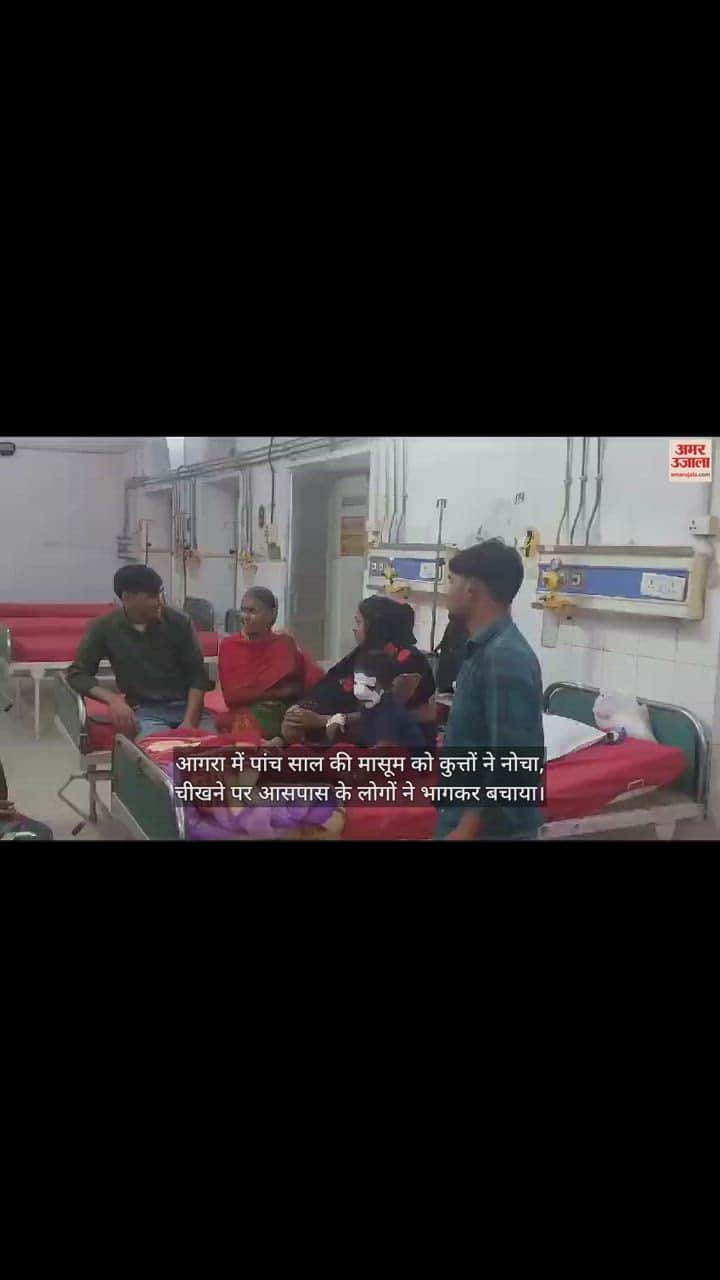VIDEO : आगरा में पांच साल की मासूम को कुत्तों ने नोचा, गंभीर हालत में अस्पताल में भर्ती