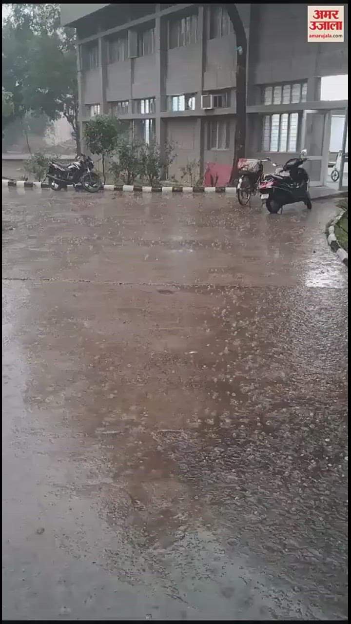 VIDEO : Rain in Jalandhar