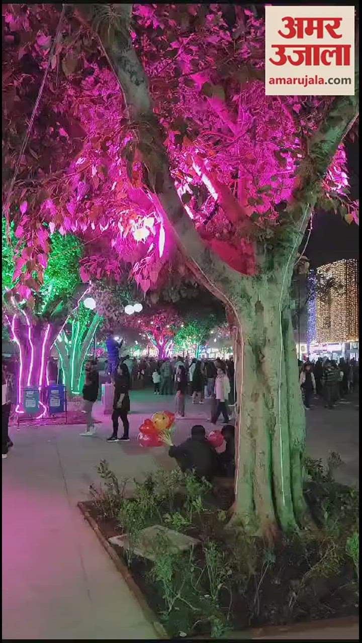 VIDEO : Diwali Decoration in Chandigarh