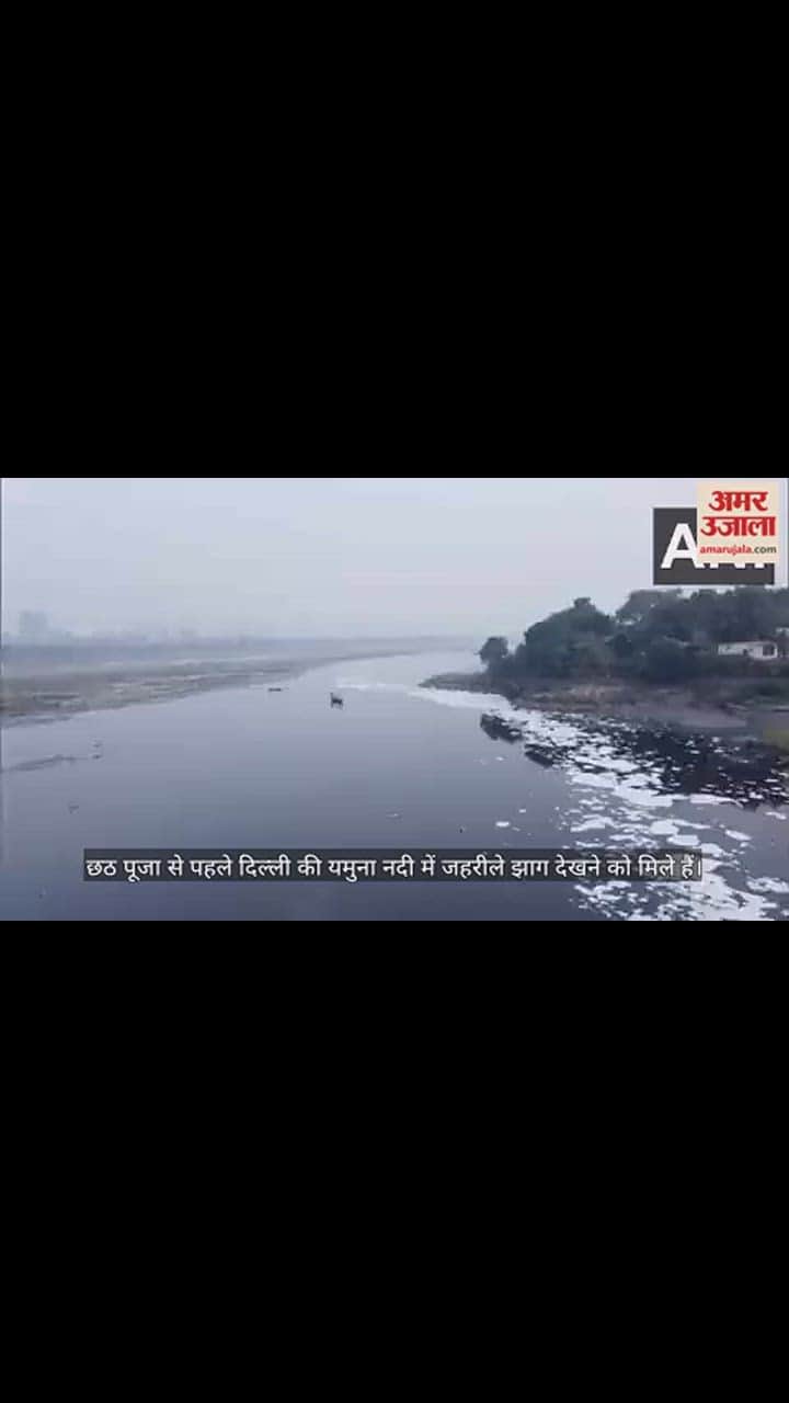 VIDEO : दिल्ली में यमुना हुई प्रदूषित, नदी किनारे बहते दिखे जहरीले झाग, देखें वीडियो