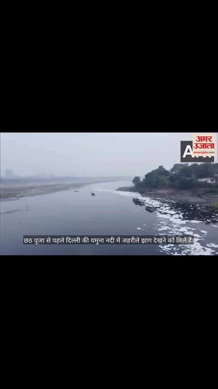 VIDEO : दिल्ली में यमुना हुई प्रदूषित, नदी किनारे बहते दिखे जहरीले झाग, देखें वीडियो