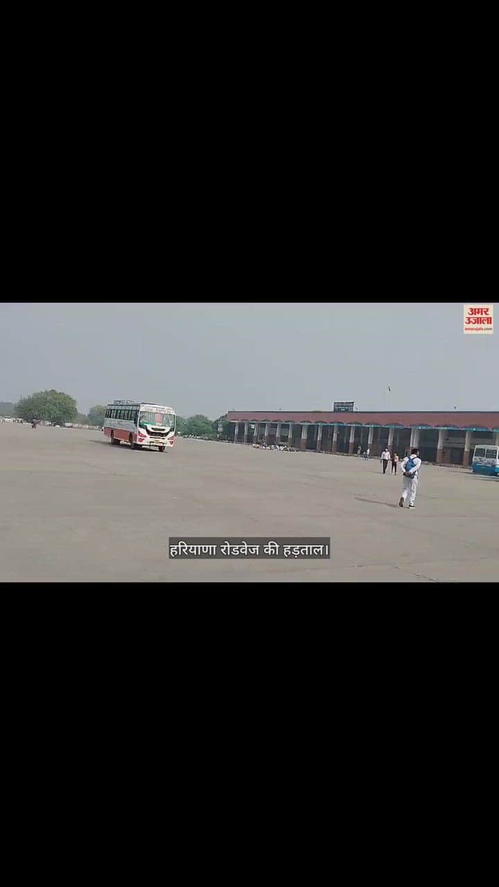 VIDEO : रोडवेज चालक की हत्या के बाद सिरसा डिपो की बसों का चक्का जाम, यात्री हुए परेशान