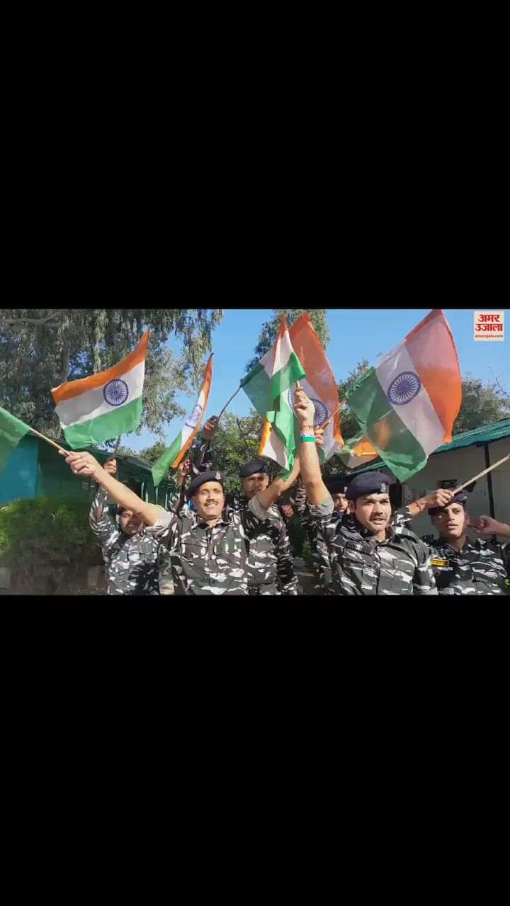 VIDEO : Jawan said India will capture the World Cup cricket finale