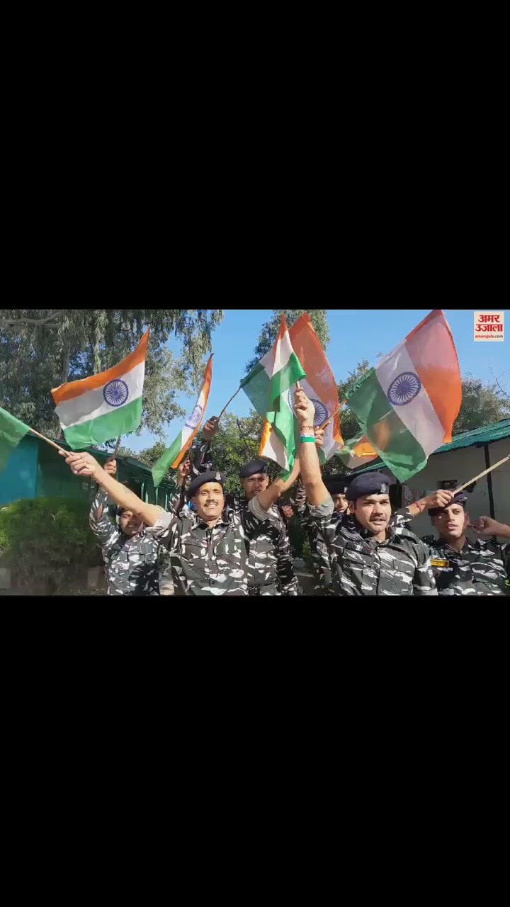 VIDEO : Jawan said India will capture the World Cup cricket finale