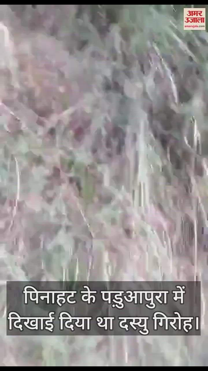 VIDEO : चार सुंदरियों वाले डाकुओं के गिरोह की तलाश