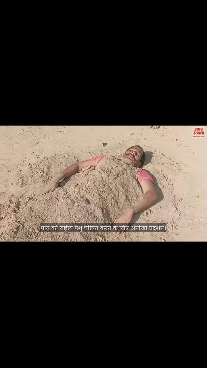 VIDEO : गाय को राष्ट्रीय पशु घोषित करने के लिए अनोखा प्रदर्शन, सलमान ने खुद को कब्र में मिट्टी से दबाया