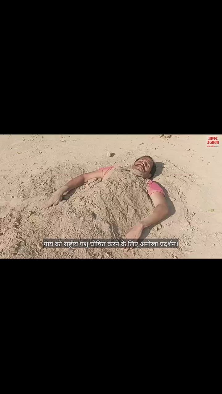 VIDEO : गाय को राष्ट्रीय पशु घोषित करने के लिए अनोखा प्रदर्शन, सलमान ने खुद को कब्र में मिट्टी से दबाया