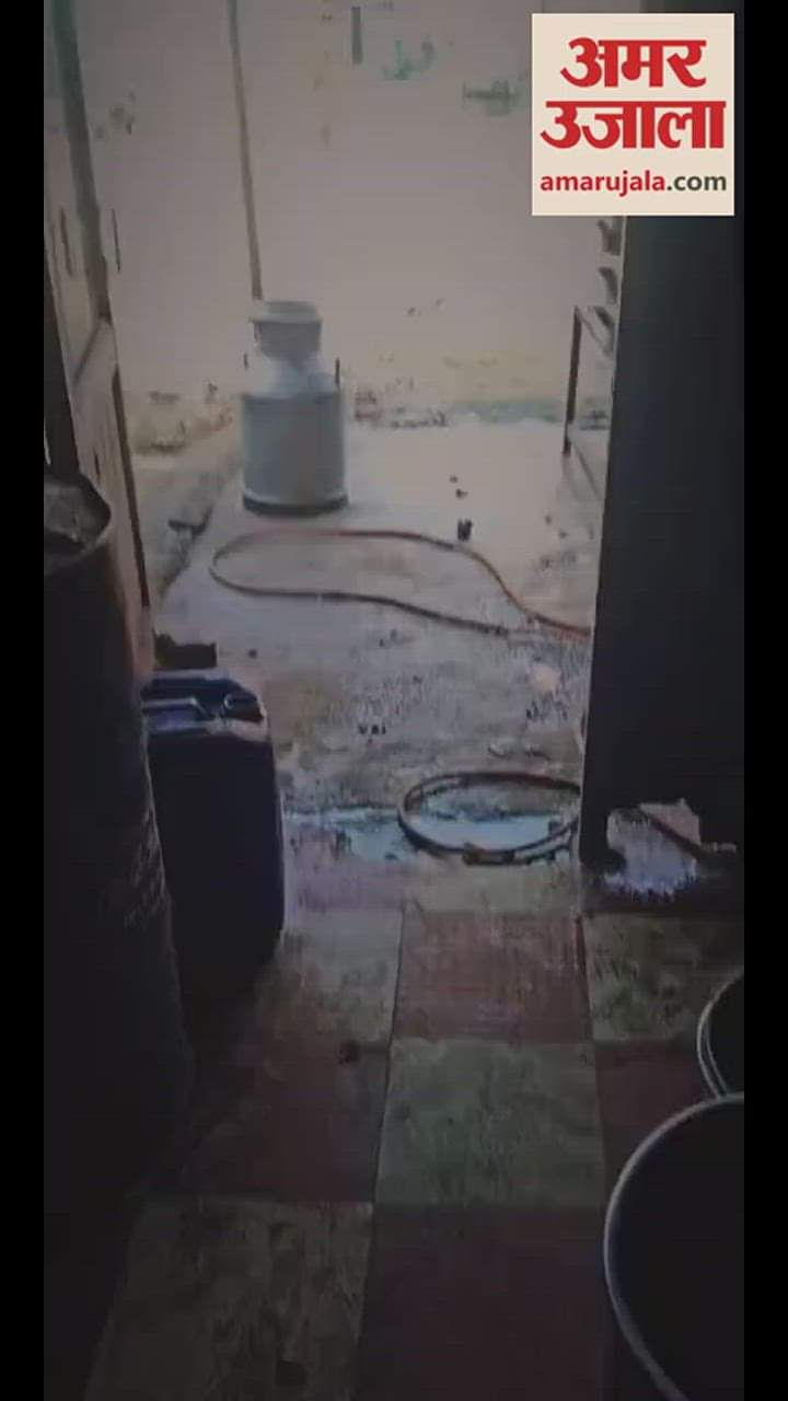 VIDEO : Owner Of Dairy In Ludhiana Accused Of Adulteration In Food Items