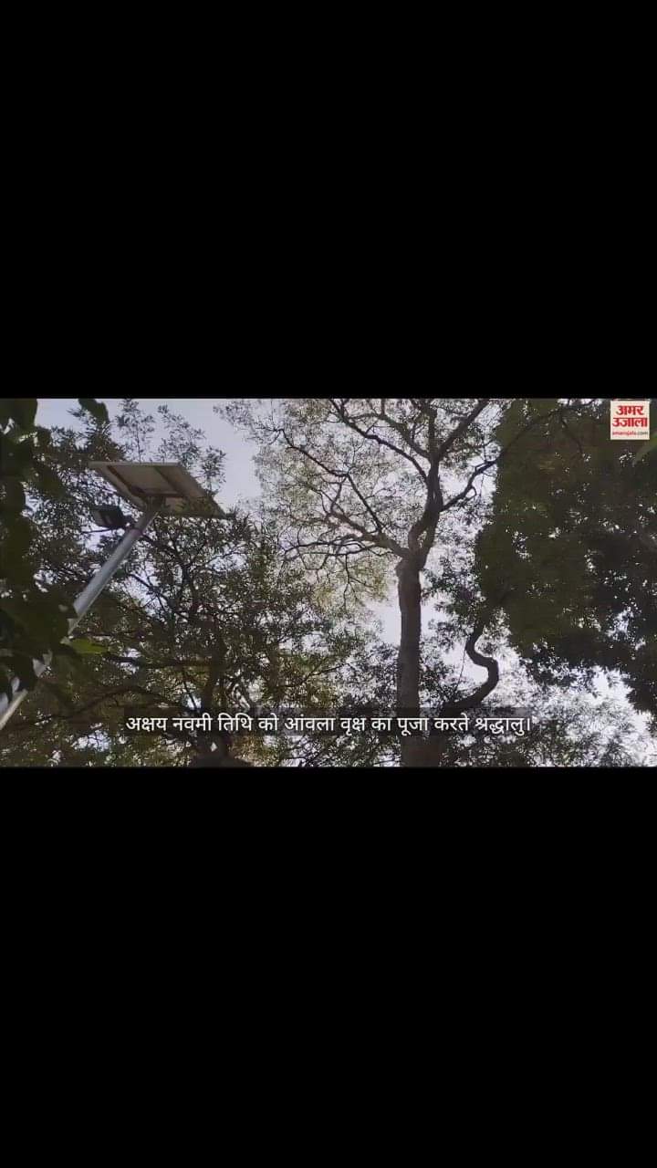 VIDEO : Akshaya Navami is being celebrated with great pomp in Gorakhpur