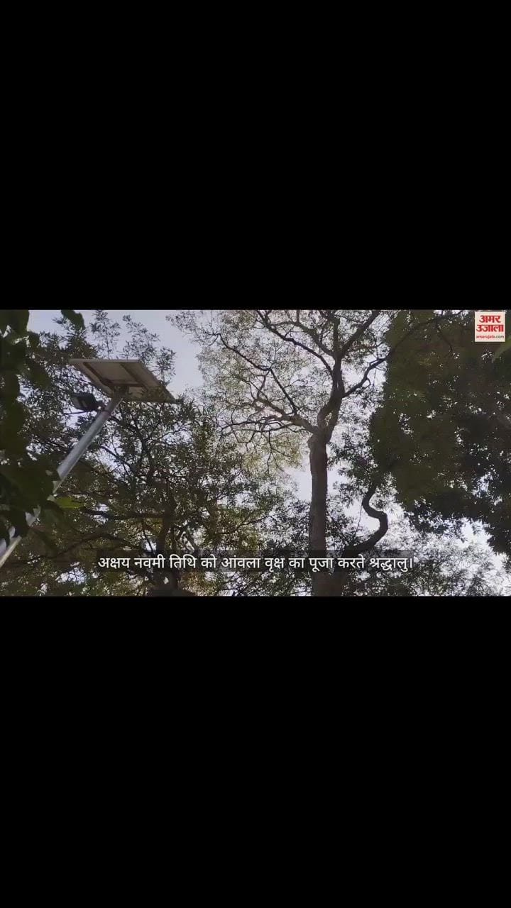VIDEO : Akshaya Navami is being celebrated with great pomp in Gorakhpur